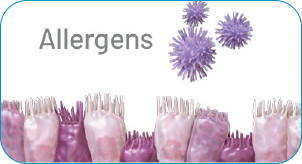 allergens