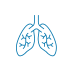lungsimage